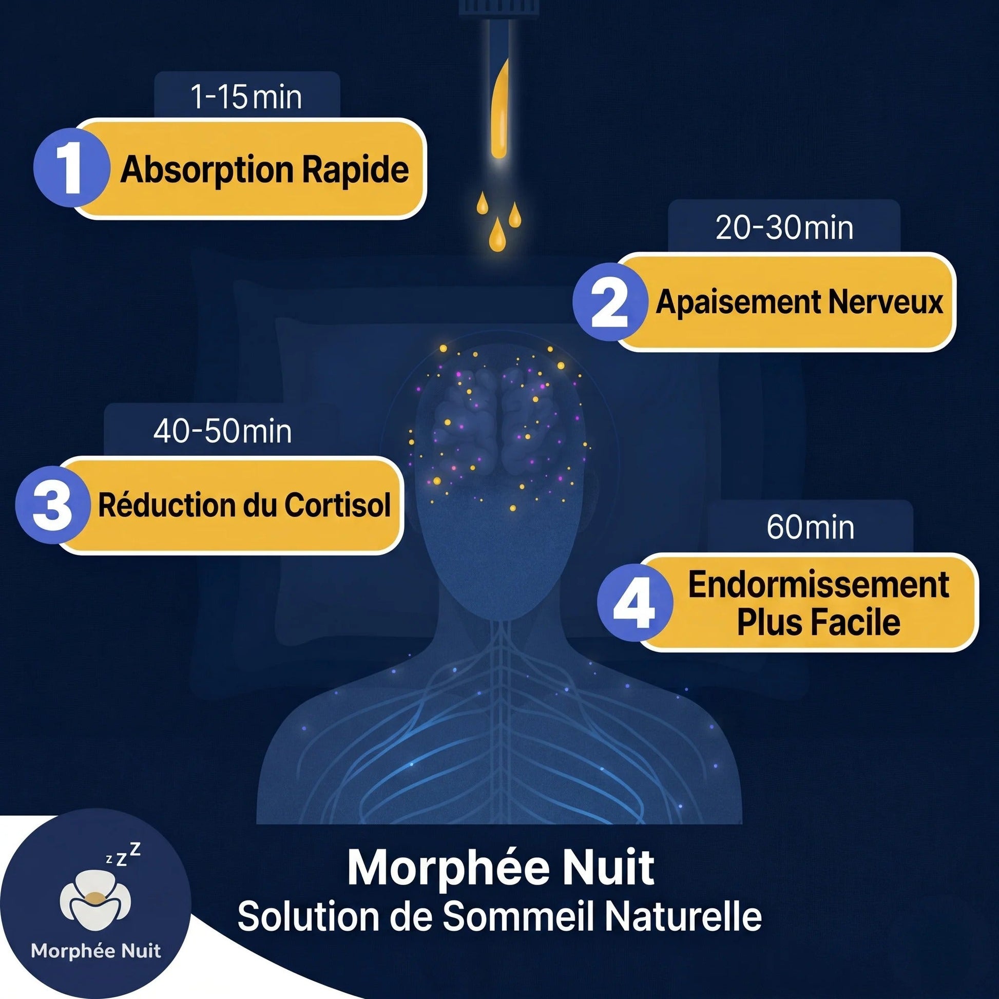 morphee nuit how it works fr